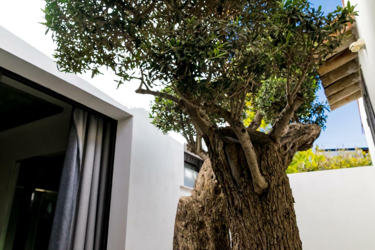 מלון פאבארה Diodorus Luxury Experience מראה חיצוני תמונה